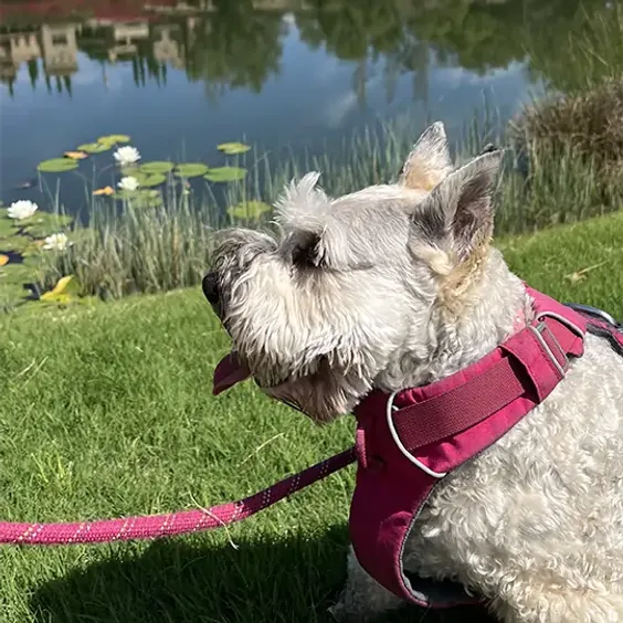 Good Quality Construction co. Site Survey thumbnail