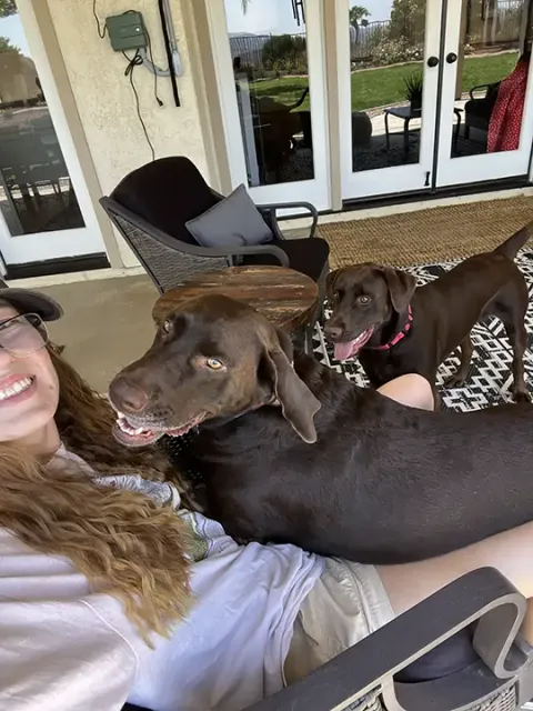 Jess taking a selfie with 2 chocolate labradors